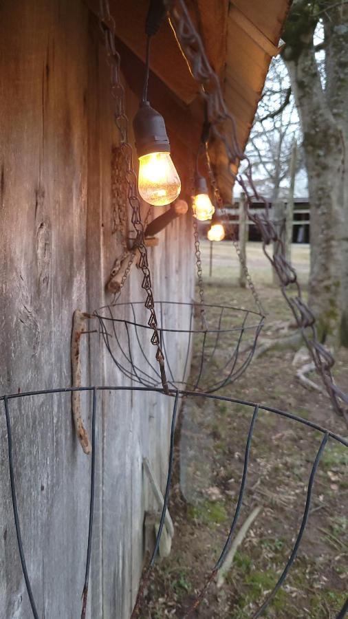 The Little House At Evoo Cookeville Exterior foto