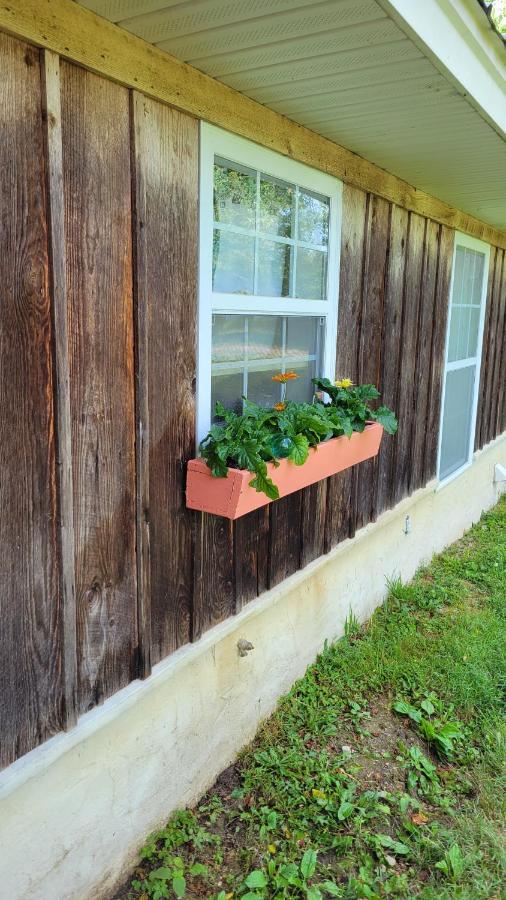 The Little House At Evoo Cookeville Exterior foto